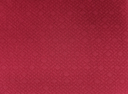 單面網眼緹花布 單面網眼緹花布