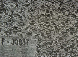 Thermoplastic Fabric(TPU-F- JQ037)